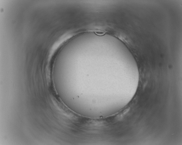 X0000060800343200511241916