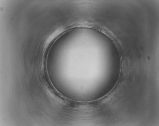 X0000060800344200511241916