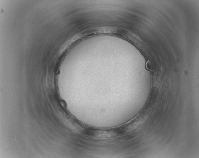 X0000060800347200511241916