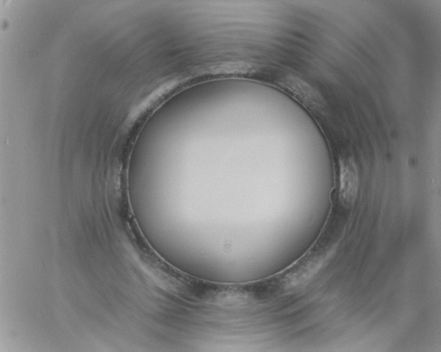 X0000060800348200511241916