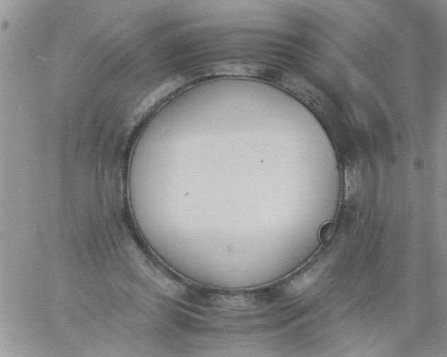 X0000060800349200511241916