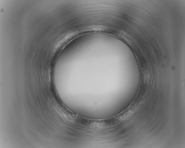 X0000060800350200511241916