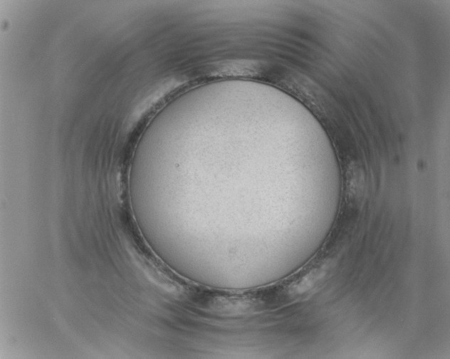 X0000060800351200511241916