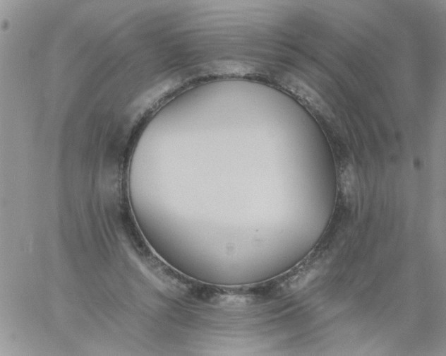 X0000060800352200511241916