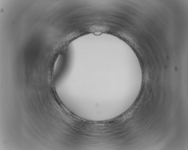 X0000060800353200511241916