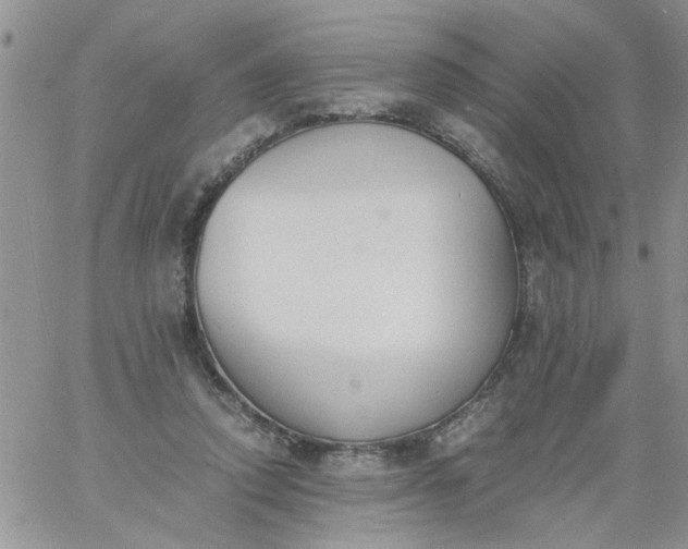 X0000060800354200511241916