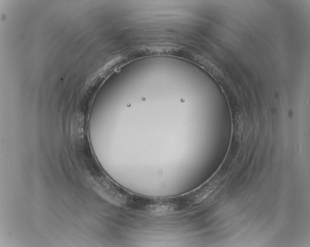 X0000060800356200511241916