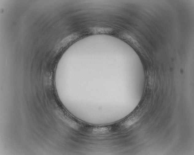 X0000060800357200511241916