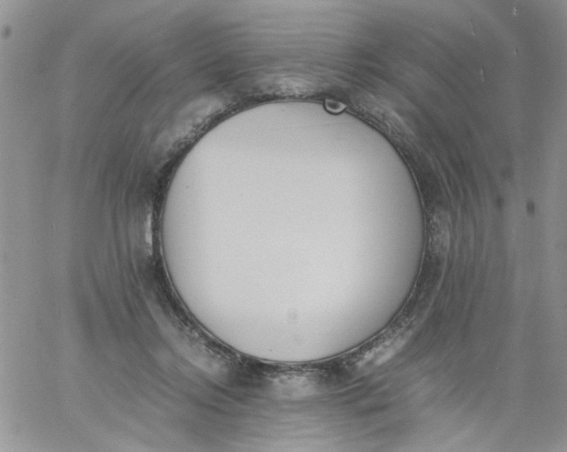 X0000060800358200511241916