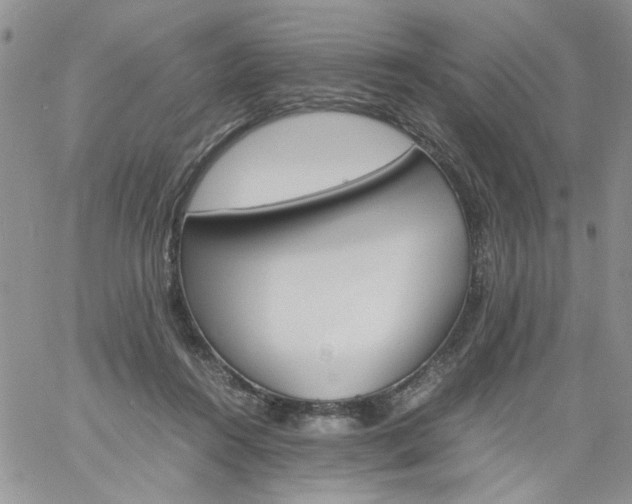 X0000060800360200511241916