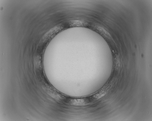 X0000060800361200511241916