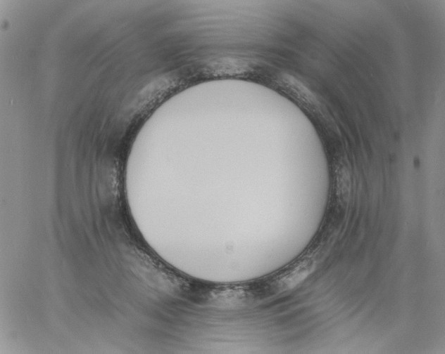 X0000060800362200511241916