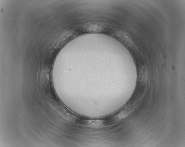 X0000060800363200511241916