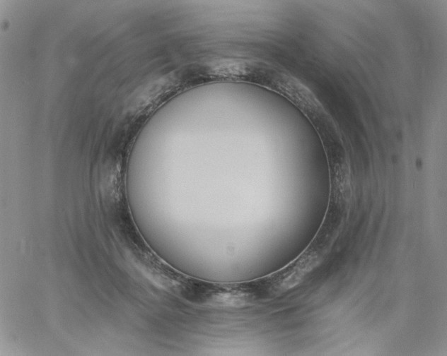 X0000060800364200511241916