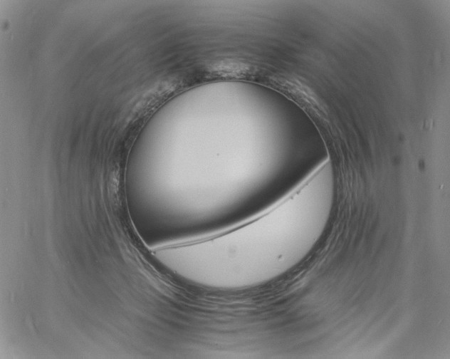 X0000060800365200511241916