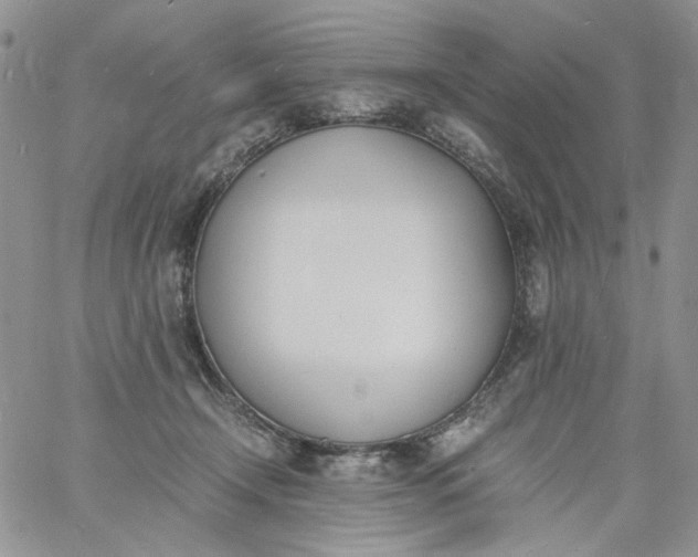 X0000060800366200511241916