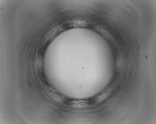 X0000060800367200511241916