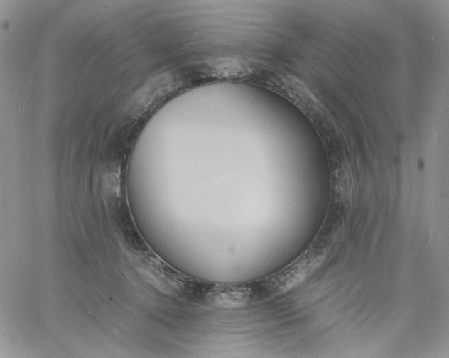 X0000060800368200511241916