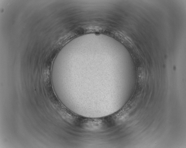 X0000060800369200511241916