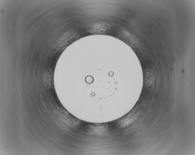 X0000060800370200511241916