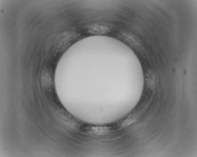 X0000060800371200511241916