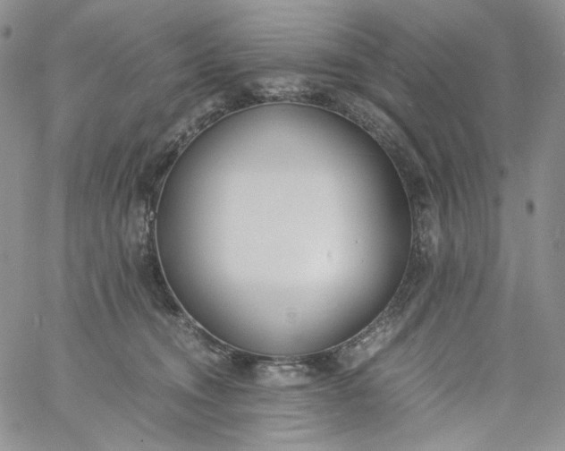 X0000060800372200511241916