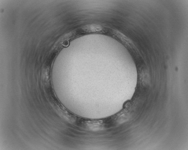 X0000060800373200511241916