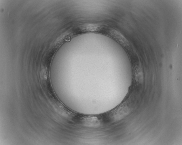 X0000060800374200511241916