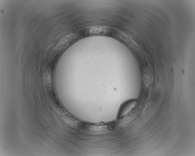 X0000060800375200511241916