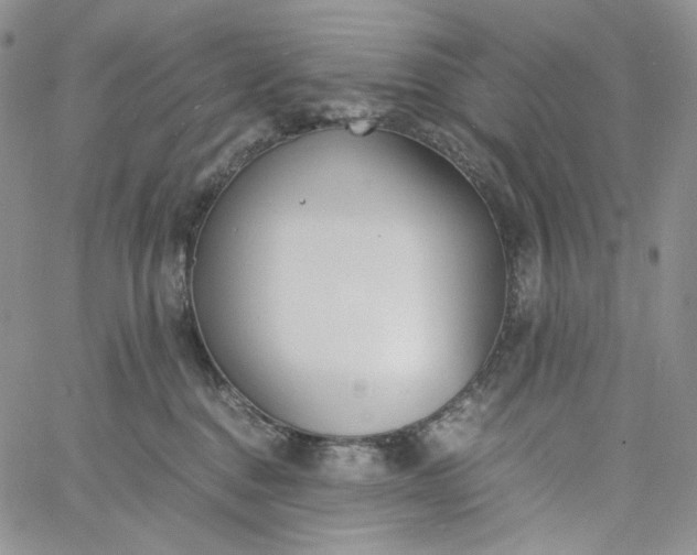 X0000060800376200511241916