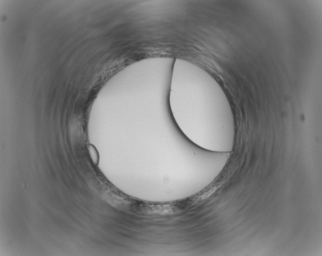 X0000060800377200511241916