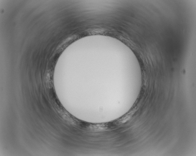 X0000060800378200511241916