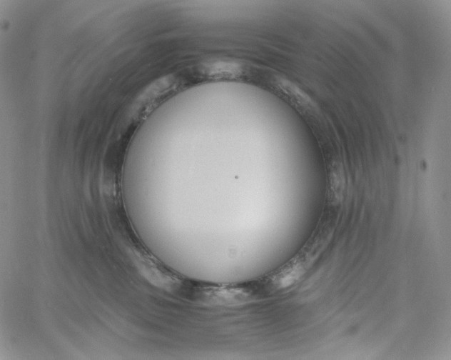 X0000060800379200511241916