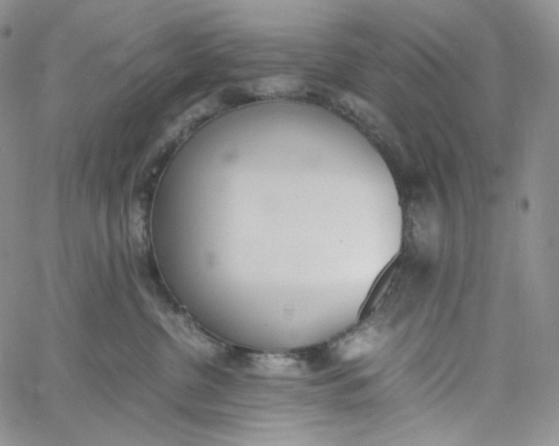 X0000060800380200511241916