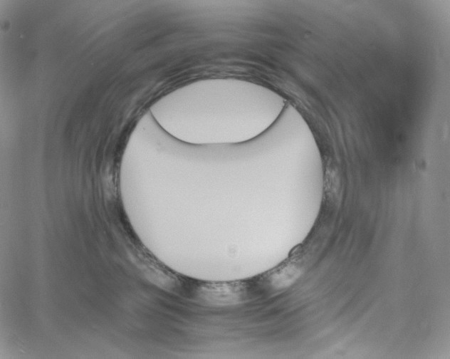 X0000060800381200511241916