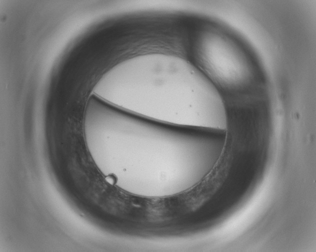 X0000060800382200511241916