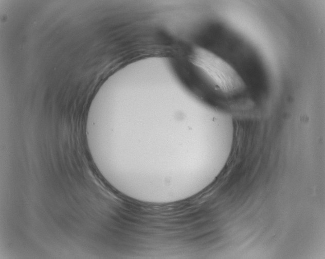 X0000060800383200511241916