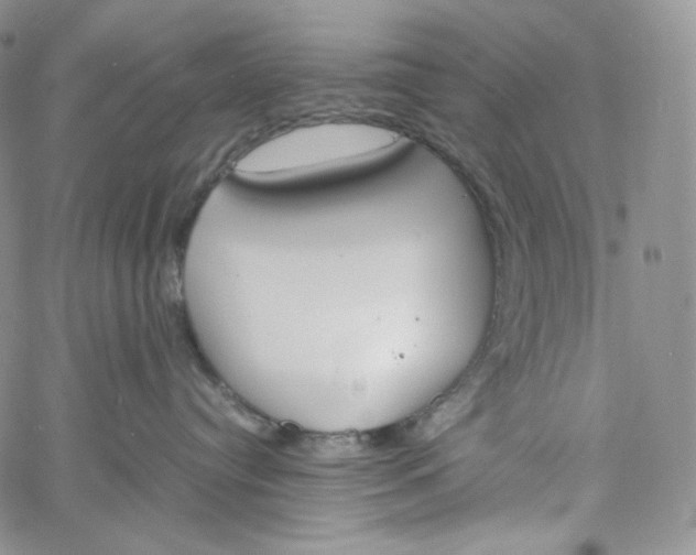 X0000060800384200511241916