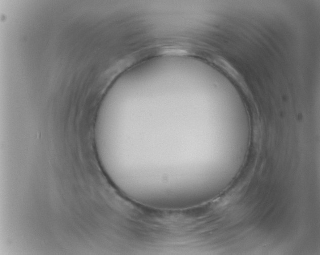 X0000060800385200511241916