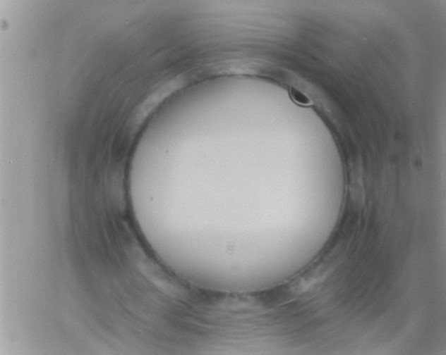 X0000060800386200511241916