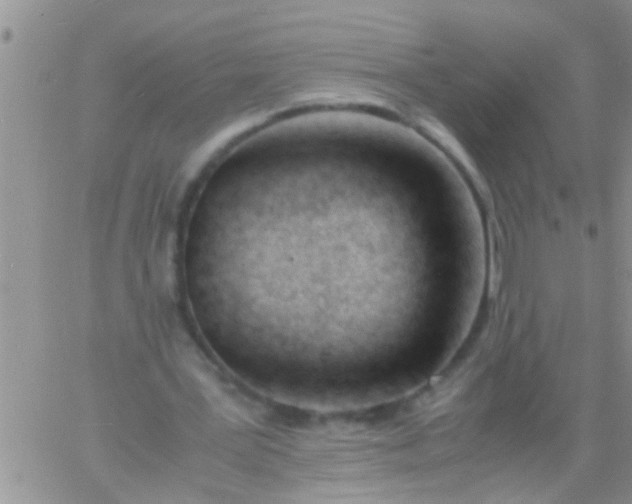 X0000060800387200511241916