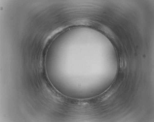 X0000060800388200511241916