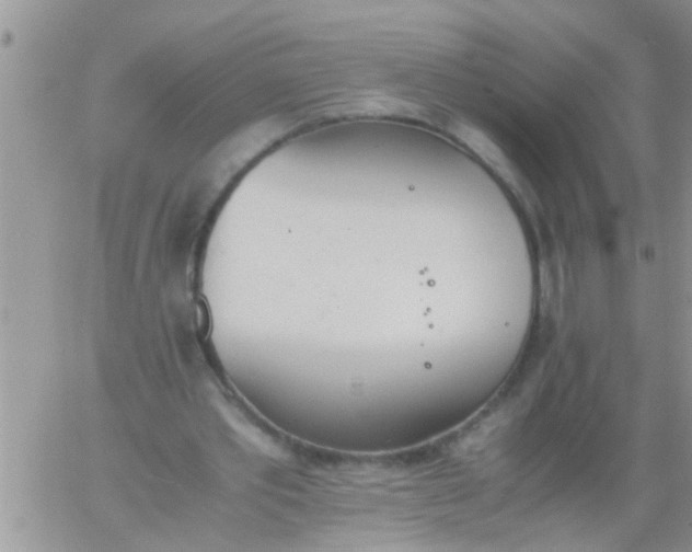 X0000060800389200511241915