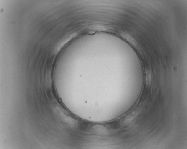 X0000060800390200511241915