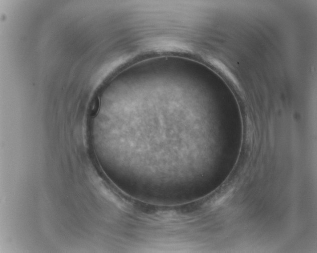 X0000060800391200511241915