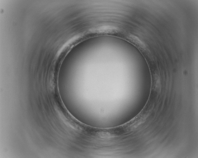 X0000060800392200511241915