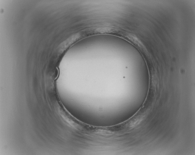 X0000060800393200511241915