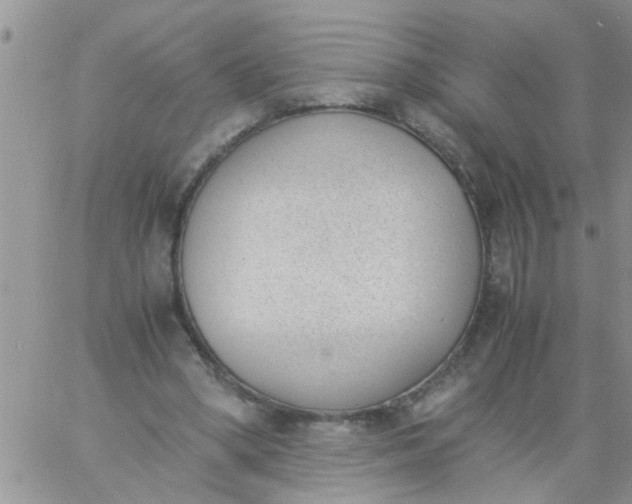 X0000060800394200511241915