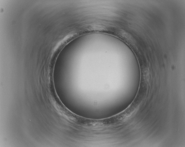 X0000060800395200511241915