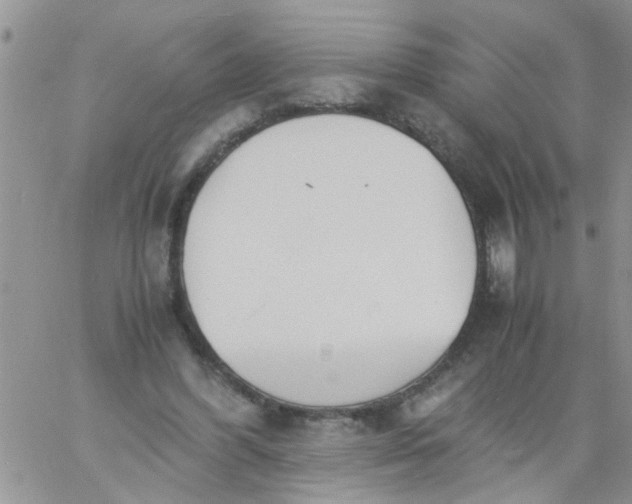 X0000060800396200511241915